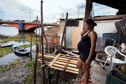 Một phụ nữ mang thai ở Brazil. (Nguồn: EPA)