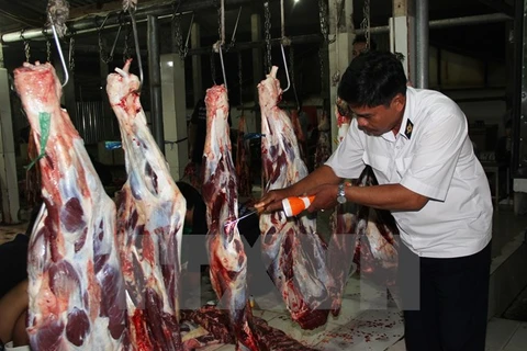 Kiểm tra an toàn vệ sinh thực phẩm tại một cơ sở giết mổ gia súc. (Ảnh minh họa: Lê Đức Hoảnh/TTXVN)