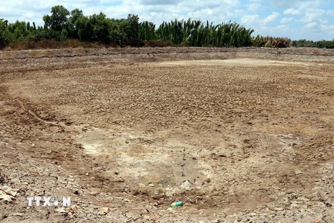 Hạn, mặn nghiêm trọng khiến nhiều đầm nuôi tôm công nghiệp ở Cà Mau bị bỏ hoang. (Ảnh: Kim Há/TTXVN)