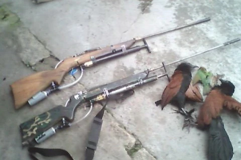 Hà Nội: Trúng đạn từ khẩu súng săn tự chế, một người tử vong