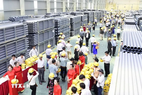 Các đại biểu tham quan Nhà máy ống nhựa Hoa Sen Bình Định. (Ảnh: Quốc Dũng/TTXVN)