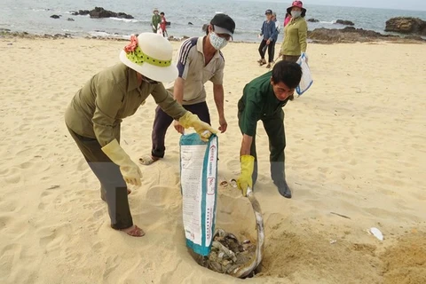 Cá chết ở ven biển tỉnh Quảng Bình. (Nguồn: TTXVN)