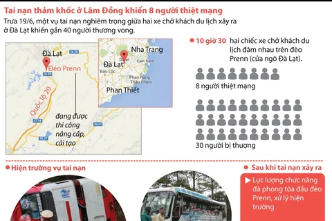 [Infographics] Tai nạn thảm khốc tại đèo Prenn làm 8 người chết