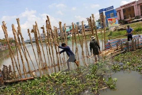 Đắp đập thời vụ ngăn mặn tại huyện Vị Thủy, Hậu Giang. (Ảnh: Duy Khương/TTXVN)