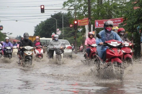 (Ảnh minh họa: Nguyễn Thảo/TTXVN)