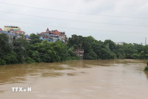 Mực nước sông Cầu đoạn qua thành phố Thái Nguyên vẫn ở mức rất cao. (Ảnh: Hoàng Nguyên/TTXVN)