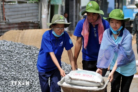 Các sinh viên tình nguyện tham gia bêtông hóa tuyến đường nông thôn. (Ảnh: An Hiếu/TTXVN)