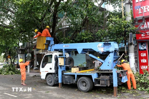 Công nhân Công ty Điện lực Nam Định (Tổng công ty Điện lực miền Bắc) khắc phục các sự cố về điện do cơn bão số 1 gây ra. (Ảnh: Ngọc Hà/TTXVN)