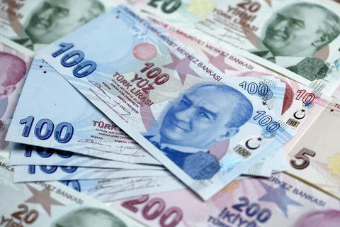 Đồng Lira của Thổ Nhĩ Kỳ. (Nguồn: English.alarabiya.net)