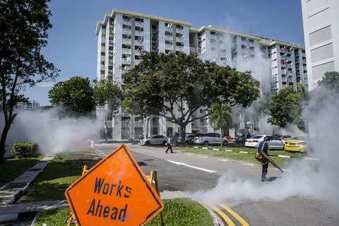 Phun thuốc diệt muỗi tại Singapore. (Nguồn: Getty Images)