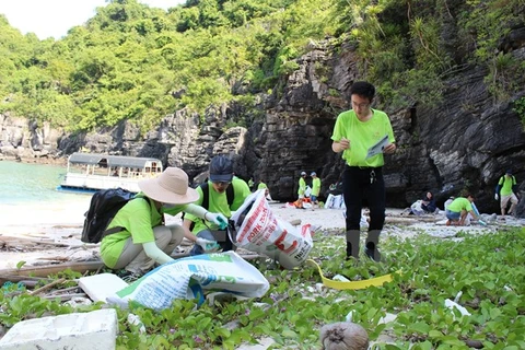 Các nhóm tình nguyện viên chung tay dọn rác tại một số đảo trong Vịnh Hạ Long. (Nguồn: Vietnam+)