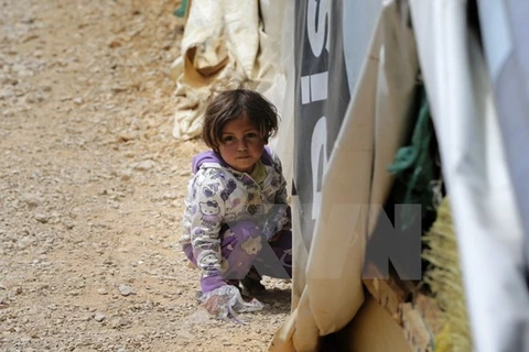Trẻ em Syria tại trại tị nạn ở thị trấn Bar Elias, Liban ngày 13/5. (Nguồn: AFP/TTXVN)