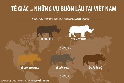 Nhìn lại những vụ buôn lậu sừng tê giác tại Việt Nam.