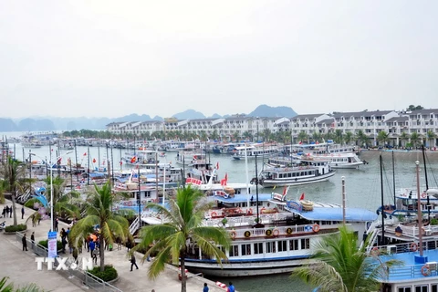 Quang cảnh Cảng tàu khách quốc tế Tuần Châu. (Ảnh: Nguyễn Hoàng/TTXVN)