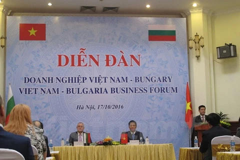 Quang cảnh Diễn đàn doanh nghiệp Việt Nam-Bulgaria. (Nguồn: Vietnam+)