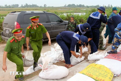 Lực lượng chức năng phòng chống bão tại đê Hà Nam, thị xã Quảng Yên, Quảng Ninh. (Ảnh: Nguyễn Hoàng/TTXVN)