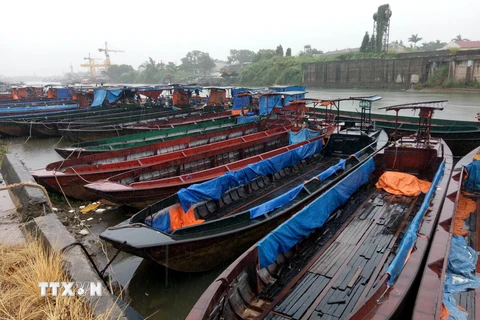 Các tàu, thuyền neo đậu bên bờ sông Ka Long (thành phố Móng Cái) được chằng buộc an toàn. (Ảnh: Văn Đức/TTXVN)