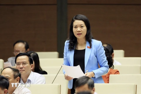 Đại biểu Quốc hội tỉnh Nam Định Mai Thị Phương Hoa phát biểu ý kiến. (Ảnh: Phạm Kiên/TTXVN)