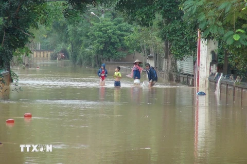 Tại xã Văn Hóa, huyện Tuyên Hóa nước lên nhanh nhiều nơi ngập sâu từ 0,8 đến 3m. (Ảnh chụp lúc 15 giờ ngày 31/10/2016). (Ảnh: Đức Thọ/TTXVN)