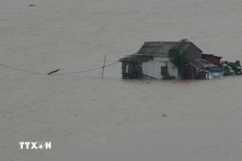 Một nhà dân tại xã Quảng Hải, thị xã Ba Đồn bị nước lũ bao vây. Ảnh chụp lúc 7 giờ sáng 1/11/2016. (Ảnh: Đức Thọ/TTXVN)