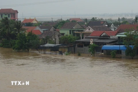 Nước lũ lên nhanh gây ngập và chia cắt tại xã Quảng Hải, thị xã Ba Đồn. Ảnh chụp lúc 7 giờ sáng 1/11/2016. (Ảnh: Đức Thọ/TTXVN) 