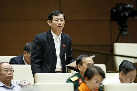  Đại biểu Quốc hội tỉnh Quảng Bình Nguyễn Ngọc Phương phát biểu ý kiến. (Ảnh: An Đăng/TTXVN)