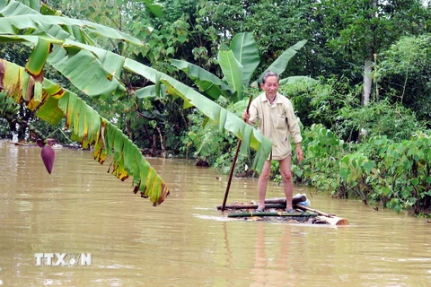 Phương tiên đi lại, sinh hoạt của người dân xã Thạch Lâm, huyện Thạch Hà, Hà Tĩnh trong ngày mưa lũ là chiếc bè được ghép bằng những cây chuối. (Ảnh: Phan Quân/TTXVN)
