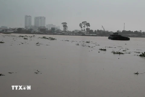 Một góc sông Đồng Nai. (Nguồn: TTXVN)