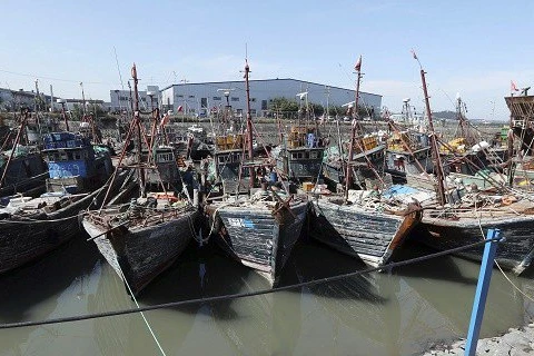Nhiều tàu đánh cá của Trung Quốc bị bắt giữ khi hoạt động bất hợp pháp ngoài khơi Incheon. (Nguồn: AP)