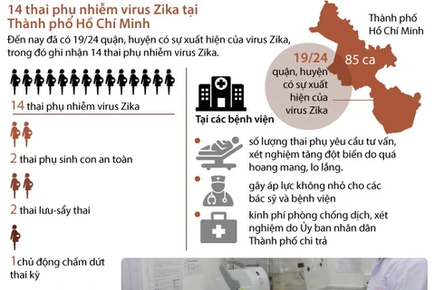 14 thai phụ nhiễm virus Zika tại Thành phố Hồ Chí Minh.
