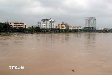 Nước sông Trà Khúc đoạn qua địa bàn thành phố Quảng Ngãi. (Nguồn: TTXVN)