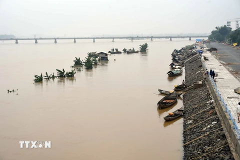 Nước sông Trà Khúc chảy qua địa bàn thành phố Quảng Ngãi. (Ảnh: Nguyễn Đăng Lâm/TTXVN)
