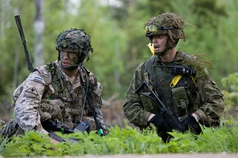 Binh sỹ Estonia. (Nguồn: Armyrecognition.com)