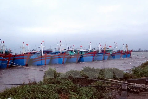 Tàu thuyền neo đậu tại thị trấn Thịnh Long, huyện Hải Hậu (Nam Định). (Ảnh: Văn Đạt/TTXVN)