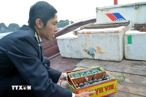 Lực lượng chức thu giữ kích điện cất giấu trên tàu tại khu vực hang Trống (Vịnh Hạ Long). (Ảnh: Văn Đức/TTXVN)
