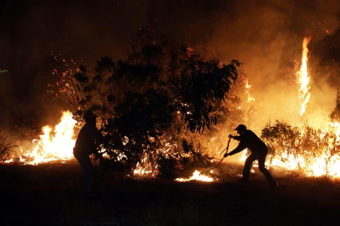 Nhân viên cứu hỏa nỗ lực chữa cháy rừng. (Nguồn: EPA)