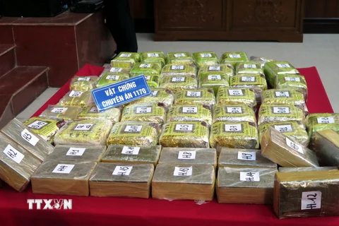 Gần 45kg ma túy tổng hợp dạng đá, 30 bánh heroin bị thu giữ. (Ảnh: Văn Đạt/TTXVN)