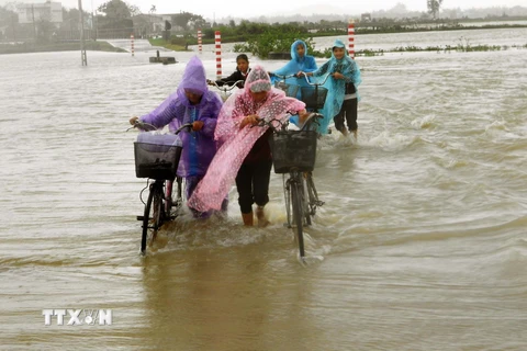 Bình Định trong đợt mưa lũ hồi tháng 12/2016. (Ảnh: Nguyên Linh/TTXVN)