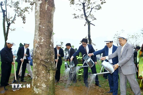 Lãnh đạo Hà Nội với các đại biểu trồng cây tại phường Phú Thượng, quận Tây Hồ. (Ảnh: An Đăng/TTXVN)
