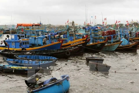 (Ảnh minh họa: An Hiếu/TTXVN)