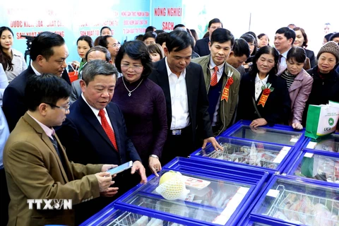Phó Chủ tịch nước Đặng Thị Ngọc Thịnh cùng các đại biểu tham quan các gian hàng nông sản thực phẩm an toàn. (Ảnh: Hoàng Hùng/TTXVN)
