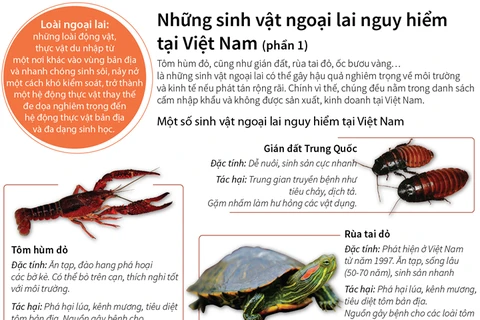 Những sinh vật ngoại lai nguy hiểm tại Việt Nam