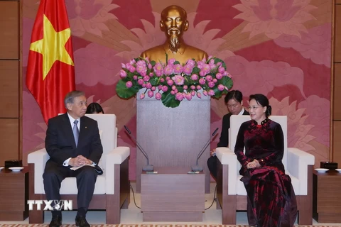 Chủ tịch Quốc hội Nguyễn Thị Kim Ngân tiếp ông Osawa Masaaki, Thống đốc tỉnh Gunma (Nhật Bản) đang thăm và làm việc tại Việt Nam. (Ảnh: Phạm Kiên/TTXVN)