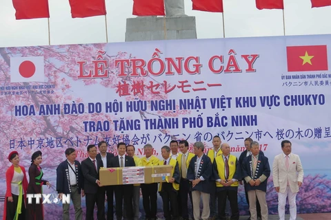 Chủ tịch Hội Hữu nghị Nhật-Việt vùng Chukyo trao tặng 100 cây hoa anh đào cho thành phố Bắc Ninh. (Ảnh: Thái Hùng/TTXVN) 