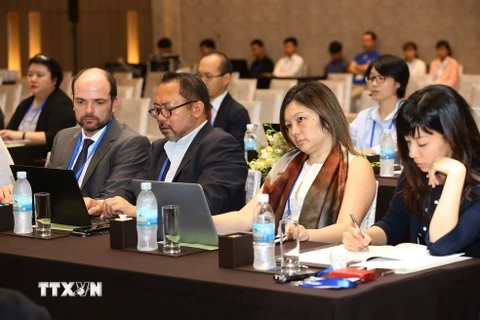 Đại diện các nền kinh tế tham dự cuộc họp Cuộc họp Ủy ban thương mại và đầu tư (CTI)-Sáng kiến nhu cầu xây dựng năng lực (CBNI). (Ảnh: Doãn Tấn/TTXVN)