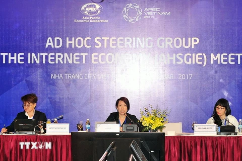 Họp Nhóm Ad Hoc về kinh tế mạng (AHSGIE). (Ảnh: Nguyễn Khang/TTXVN)