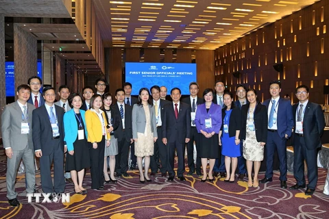 Chủ tịch SOM APEC 2017 Bùi Thanh Sơn và các đại biểu Việt Nam tại Hội nghị. (Ảnh: Doãn Tấn/TTXVN)