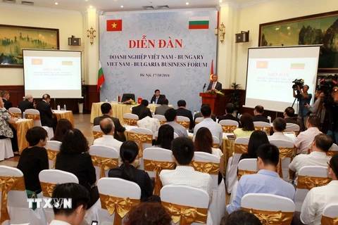 Quang cảnh Diễn đàn doanh nghiệp Việt Nam-Bulgaria tại Hà Nội năm 2016. (Nguồn: TTXVN)