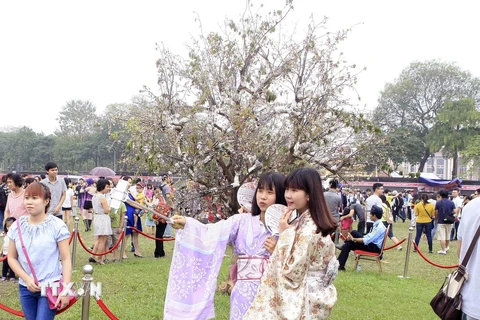 Các bạn gái háo hức mặc trang phục Kimono tự chụp ảnh lưu giữ lại kỷ niệm trước cây hoa anh đào tại lễ hội năm 2016. (Ảnh: Phạm Kiên/TTXVN)
