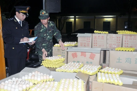 Hàng nghìn quả trứng gà không rõ nguồn gốc bị phát hiện, bắt giữ tại Quảng Ninh. (Nguồn: TTXVN)